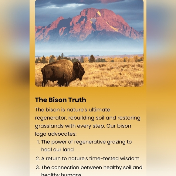 Regenaissance - Mustard  Men's T-Shirt - Picture 8 of 13